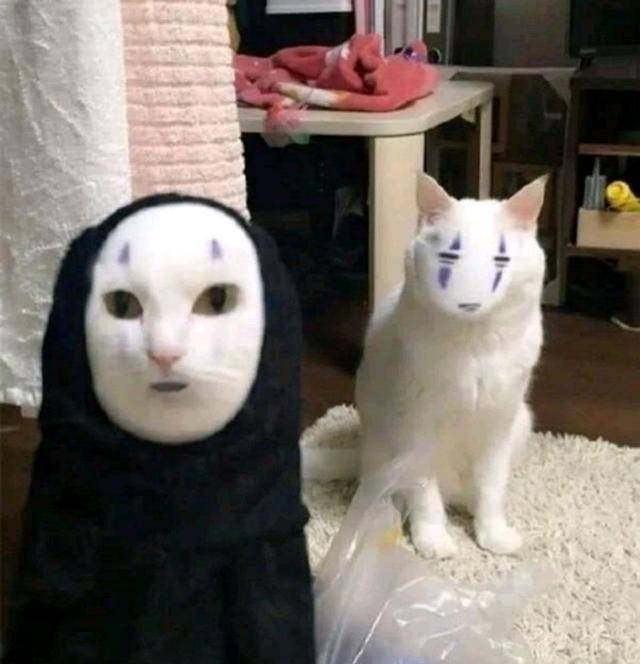 当喵喵跟无脸男换脸后