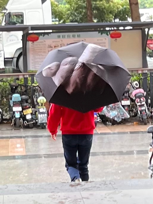 下雨天走路上会被打吗