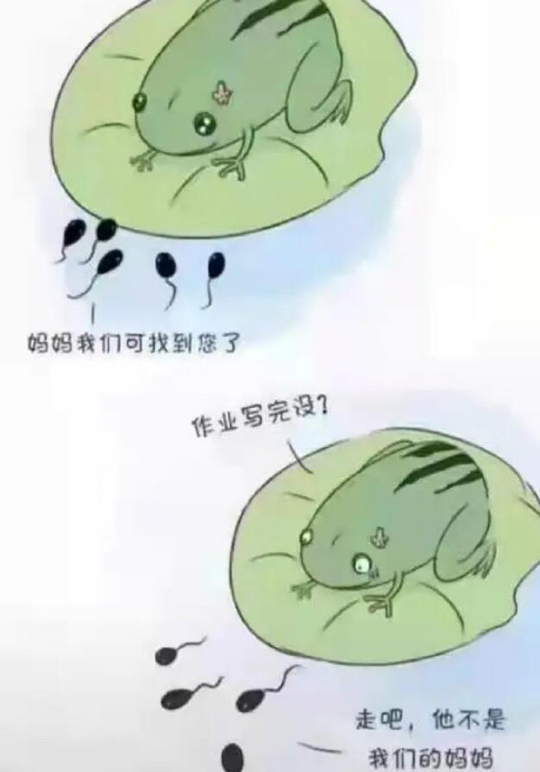 童话果然都是骗人的