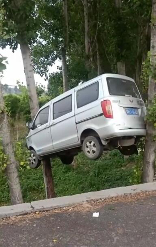 给你一百块钱能不能再表演一次