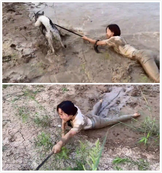 我都犁不了这么深的沟