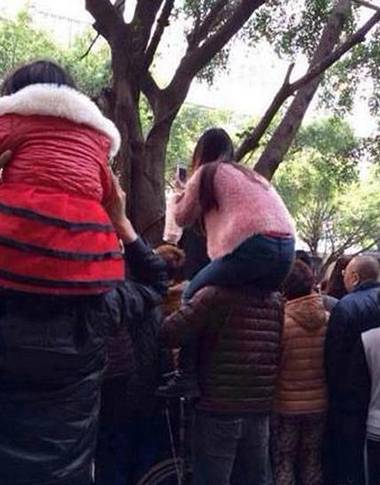 都是中国好男友啊