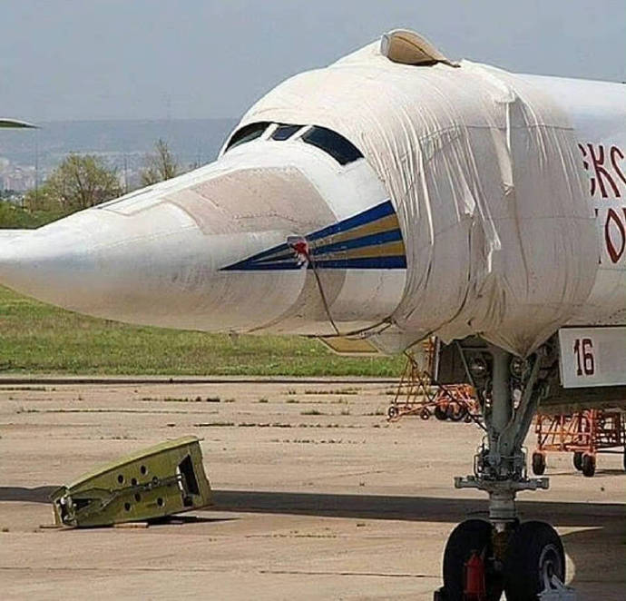 黑猫警长里的一只耳