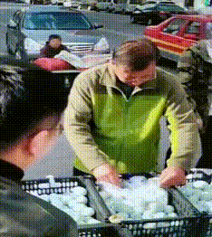 老板还是拉着你的鸭蛋跑路吧！要不然该回来找你事了！