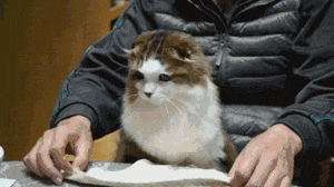 什么叫讲究,这就叫讲究!