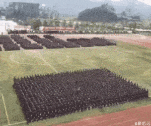 果然,倒计时后什么都没发生……