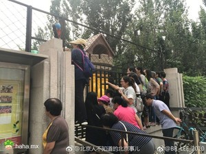 北京某幼儿园今儿开学第一天，这是园外的家长们