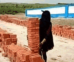 这媳妇娶回家真值