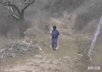 别学佩奇了，看到水坑别乱跳，哈哈哈