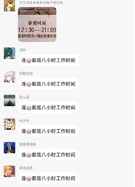 可是猪猪的工作就是吃睡啊