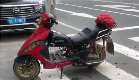 是踏板出了轨还是125劈了腿