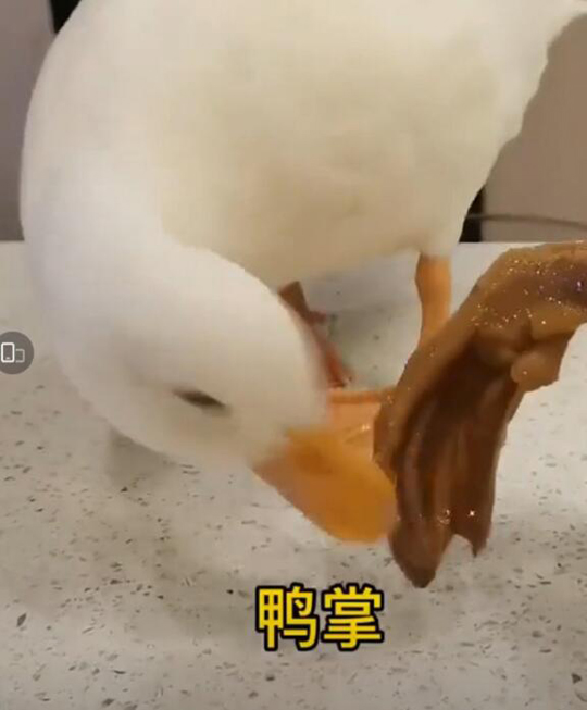 我作为人有时候也会啃一些自己的手指皮