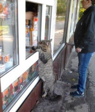 老板，来包七匹狼