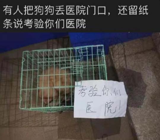 考验丢狗人的的户口本