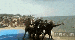 让驴上天，你们考虑过驴的感受吗？