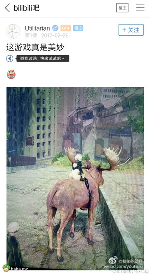 这个游戏真美妙！