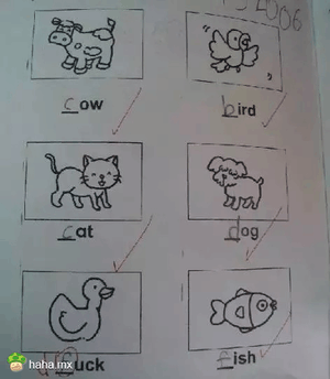 那些逆天的小学生，长大后都是人才