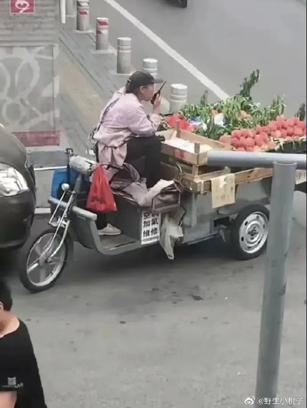 老鹰,老鹰,兔子已经出动了。