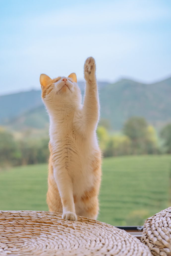 报告，这题我会