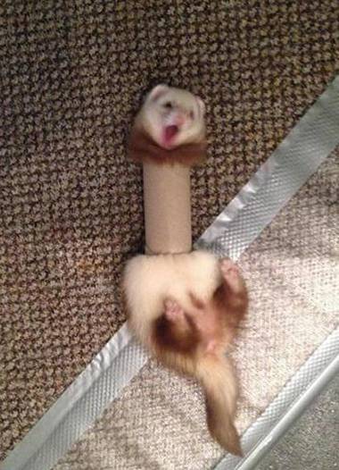 玩纸筒玩出人命了