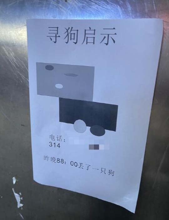 四维生物看三维生物的样子