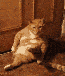 长太胖扣个屁眼都费劲