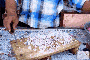 这手速，没谁了吧