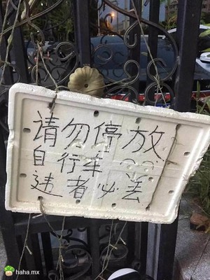 真朋克