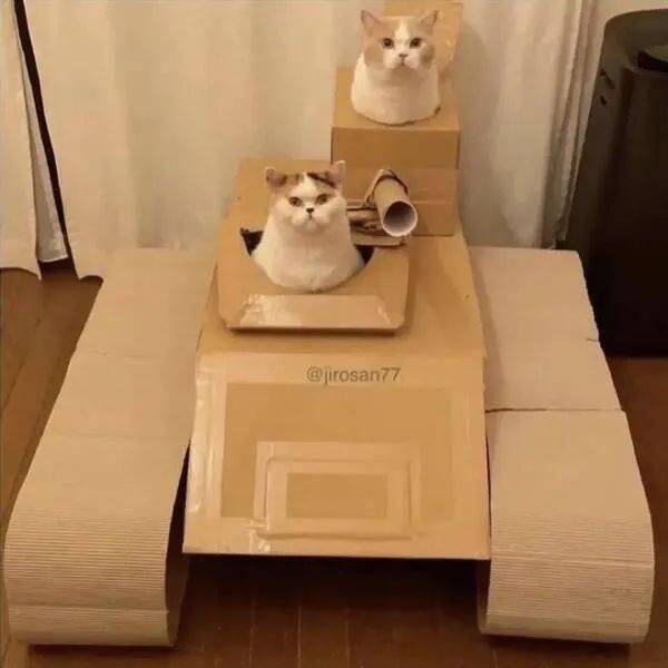 再不让路,我们就开炮了