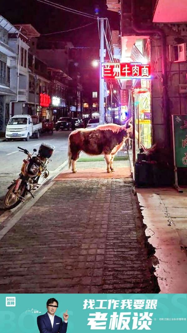 跟对老板,无伤养老