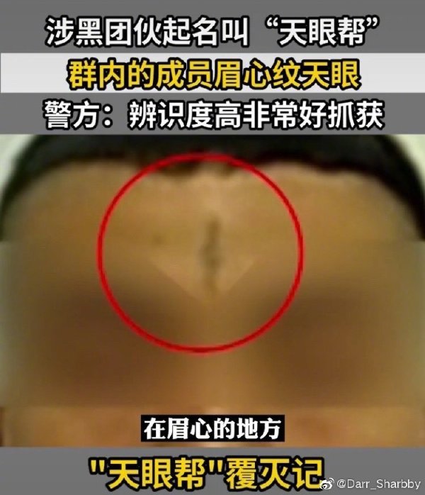 自掘坟墓