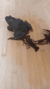 在绝对力量面前，一切反抗都是徒劳的