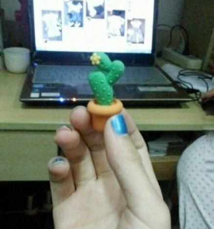 淘宝上买的盆栽,差距好大