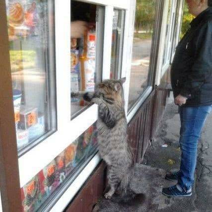 老板娘，给我来包小鱼干