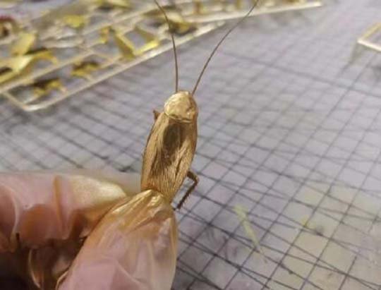 金蝉子