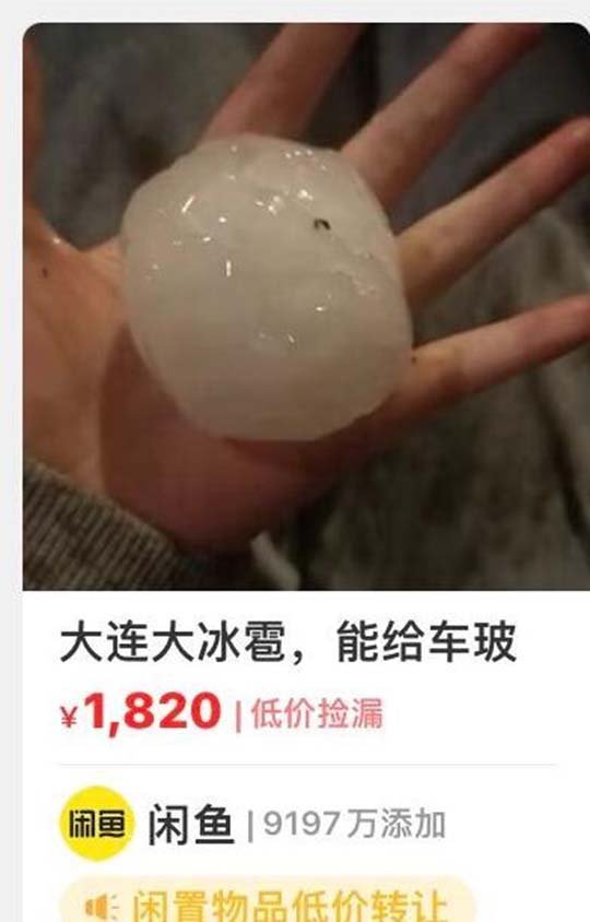 有大冰