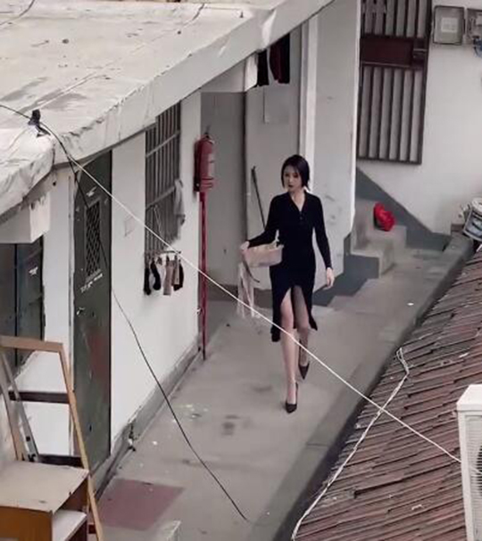 今天包租婆格外惊艳