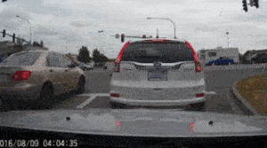 您这是要干啥？