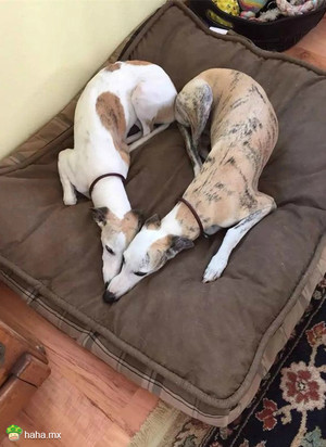 我仿佛听到了什么东西破碎的声音…