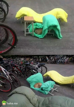 帮我盖下被子，我要睡觉了，谢谢！