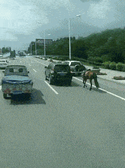 要是给他们这个组合起个名字，应该喊“宝马车”吧