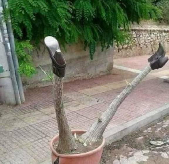 是谁？实在是太残忍了！