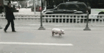 遇到这种情况应该怎么办?