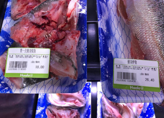 你这鱼读过大学吗?