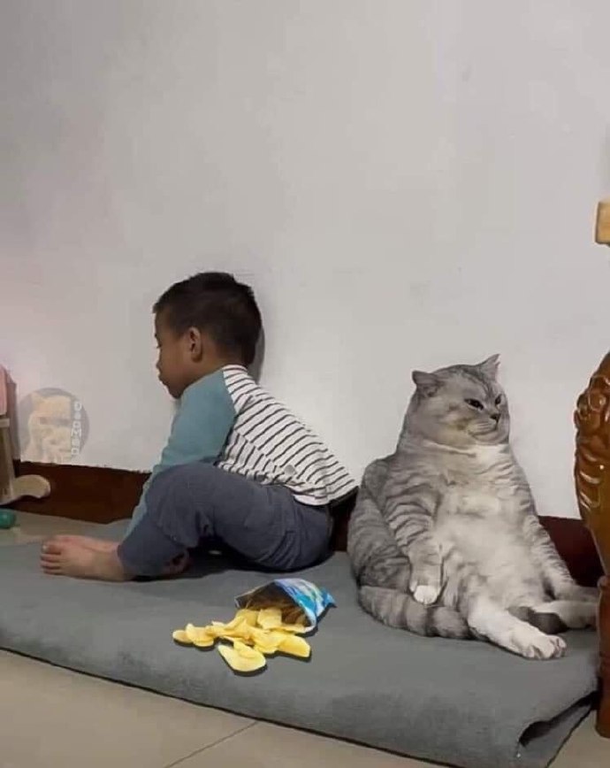 因为争抢把薯片打洒之后互相置气阶段