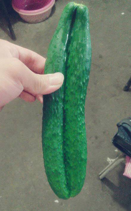 情侣黄瓜,永不分开