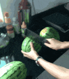 这个西瓜长得真好