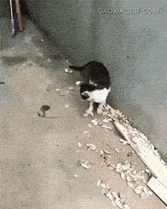 小时候打不过就撒泼的套路,简直一模一样!