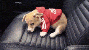 你妈说你该出去跑跑步的时候