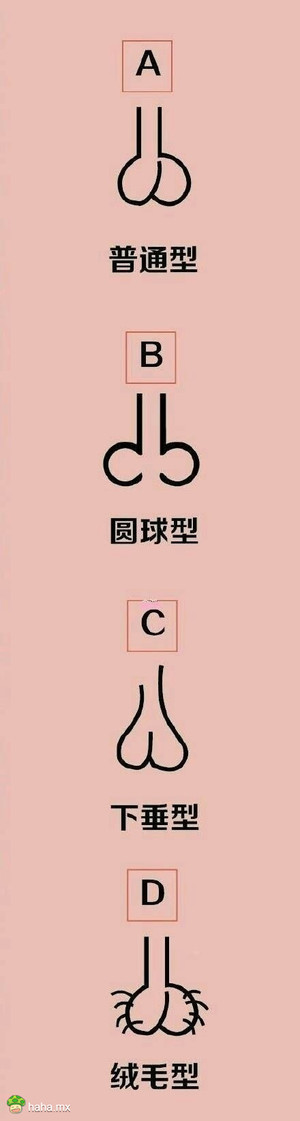 你是哪一种蛋蛋